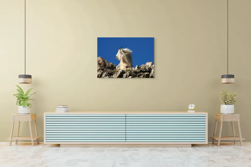 Tablou Canvas, "Capra de munte în adierea vântului", Capră, Alpină, Stânci, Cer, Albastru, Maiestate, Blană, Vânt, Sălbatică, Natură, 100 x 70 cm – poza 4