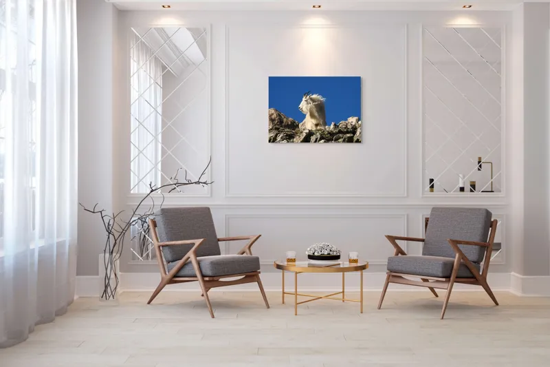 Tablou Canvas, "Capra de munte în adierea vântului", Capră, Alpină, Stânci, Cer, Albastru, Maiestate, Blană, Vânt, Sălbatică, Natură, 100 x 70 cm – poza 5