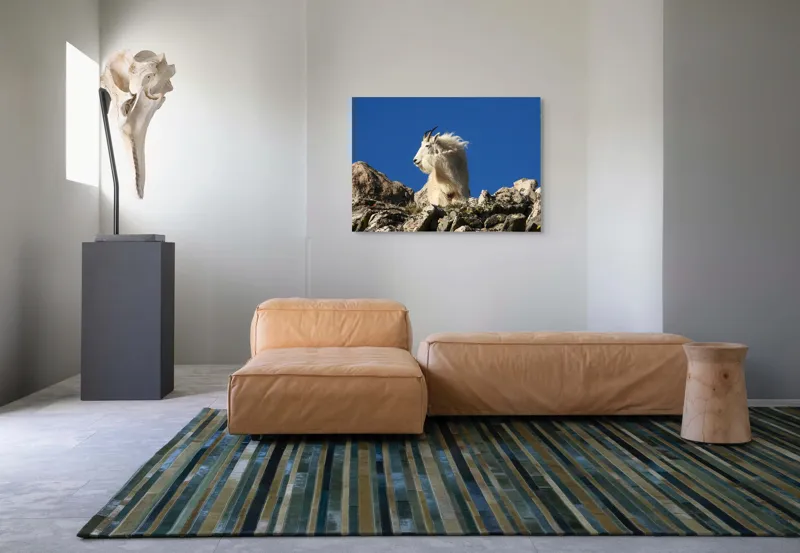 Tablou Canvas, "Capra de munte în adierea vântului", Capră, Alpină, Stânci, Cer, Albastru, Maiestate, Blană, Vânt, Sălbatică, Natură, 100 x 70 cm – poza 7