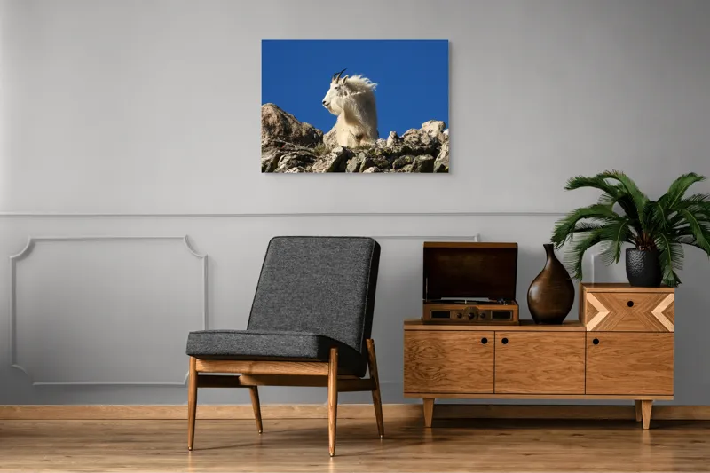 Tablou Canvas, "Capra de munte în adierea vântului", Capră, Alpină, Stânci, Cer, Albastru, Maiestate, Blană, Vânt, Sălbatică, Natură, 100 x 70 cm – poza 8