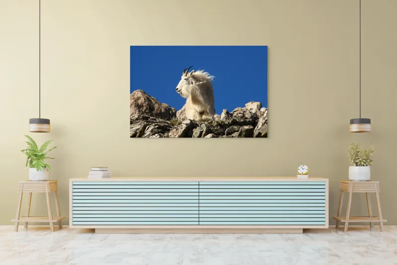 Tablou Canvas, "Capra de munte în adierea vântului", Capră, Alpină, Stânci, Cer, Albastru, Maiestate, Blană, Vânt, Sălbatică, Natură, 150 x 100 cm – poza 6