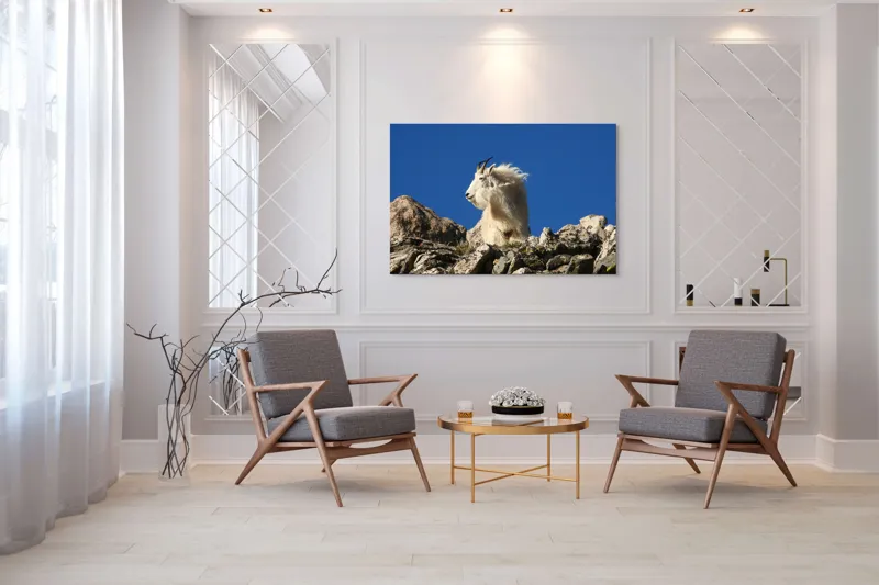Tablou Canvas, "Capra de munte în adierea vântului", Capră, Alpină, Stânci, Cer, Albastru, Maiestate, Blană, Vânt, Sălbatică, Natură, 150 x 100 cm – poza 7