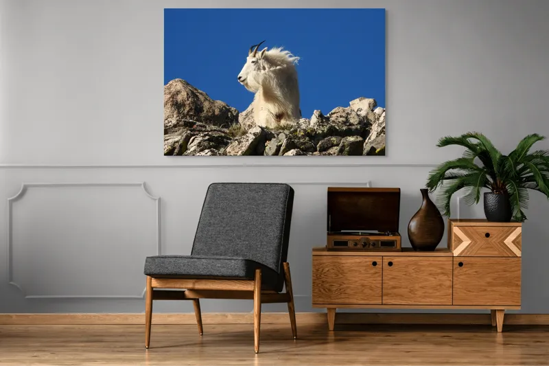 Tablou Canvas, "Capra de munte în adierea vântului", Capră, Alpină, Stânci, Cer, Albastru, Maiestate, Blană, Vânt, Sălbatică, Natură, 150 x 100 cm – poza 8
