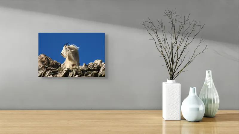 Tablou Canvas, "Capra de munte în adierea vântului", Capră, Alpină, Stânci, Cer, Albastru, Maiestate, Blană, Vânt, Sălbatică, Natură, 39 x 26 cm – poza 8