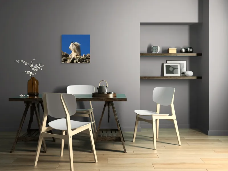 Tablou Canvas, "Capra de munte în adierea vântului", Capră, Alpină, Stânci, Cer, Albastru, Maiestate, Blană, Vânt, Sălbatică, Natură, 50 x 50 cm – poza 8