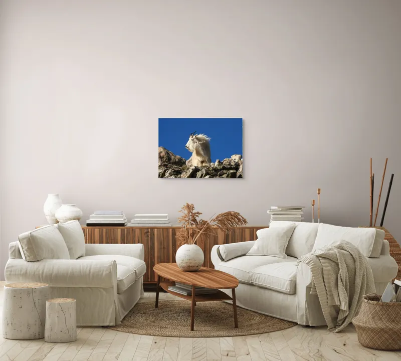 Tablou Canvas, "Capra de munte în adierea vântului", Capră, Alpină, Stânci, Cer, Albastru, Maiestate, Blană, Vânt, Sălbatică, Natură, 70 x 50 cm – poza 6