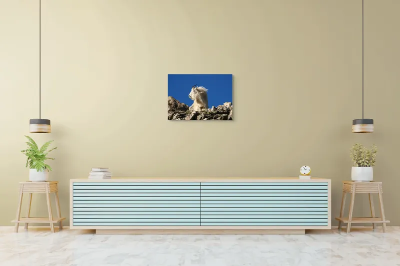 Tablou Canvas, "Capra de munte în adierea vântului", Capră, Alpină, Stânci, Cer, Albastru, Maiestate, Blană, Vânt, Sălbatică, Natură, 70 x 50 cm – poza 7