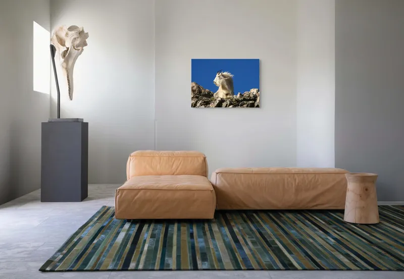 Tablou Canvas, "Capra de munte în adierea vântului", Capră, Alpină, Stânci, Cer, Albastru, Maiestate, Blană, Vânt, Sălbatică, Natură, 70 x 50 cm – poza 8