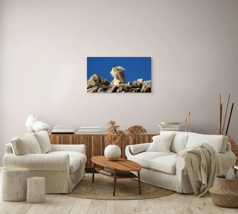 Tablou Canvas, "Capra de munte în adierea vântului", Capră, Alpină, Stânci, Cer, Albastru, Maiestate, Blană, Vânt, Sălbatică, Natură, 90 x 50 cm – poza 4