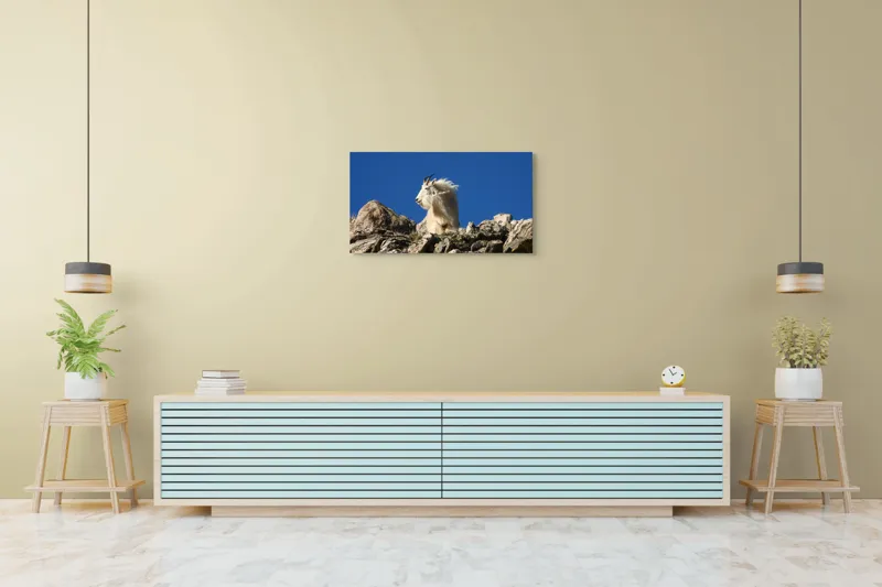 Tablou Canvas, "Capra de munte în adierea vântului", Capră, Alpină, Stânci, Cer, Albastru, Maiestate, Blană, Vânt, Sălbatică, Natură, 90 x 50 cm – poza 5