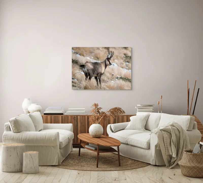 Tablou Canvas, "Capră neagră în peisaj montan toamna", Goat, Horns, Grass, Nature, Stare, Mountain, Wild, Animal, Fur, Tranquil., 100 x 70 cm – poza 3