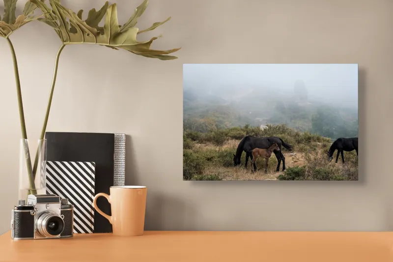 Tablou Canvas, "Mângâierea dimineții în ceață densă", Cai, Pășuni, Ceață, Natură, Mânz, Peisaj, Plante, Dealuri, Sălbăticie, Cer, Verdeață., 39 x 26 cm – poza 3