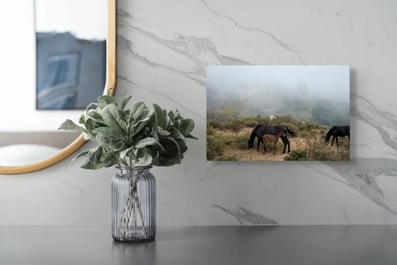 Tablou Canvas, "Mângâierea dimineții în ceață densă", Cai, Pășuni, Ceață, Natură, Mânz, Peisaj, Plante, Dealuri, Sălbăticie, Cer, Verdeață., 39 x 26 cm – poza 5