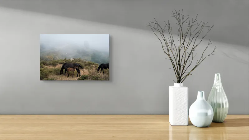 Tablou Canvas, "Mângâierea dimineții în ceață densă", Cai, Pășuni, Ceață, Natură, Mânz, Peisaj, Plante, Dealuri, Sălbăticie, Cer, Verdeață., 39 x 26 cm – poza 8