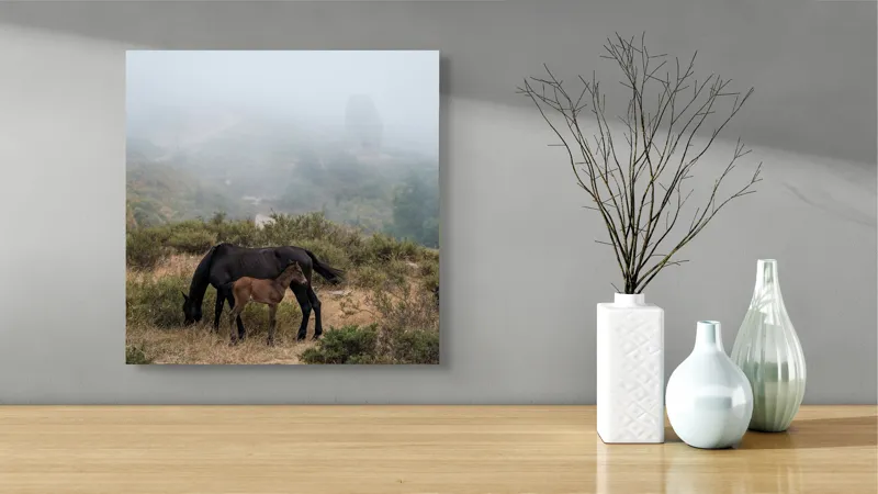 Tablou Canvas, "Mângâierea dimineții în ceață densă", Cai, Pășuni, Ceață, Natură, Mânz, Peisaj, Plante, Dealuri, Sălbăticie, Cer, Verdeață., 50 x 50 cm – poza 3