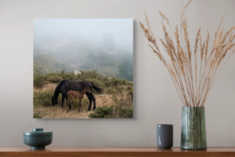 Tablou Canvas, "Mângâierea dimineții în ceață densă", Cai, Pășuni, Ceață, Natură, Mânz, Peisaj, Plante, Dealuri, Sălbăticie, Cer, Verdeață., 50 x 50 cm – poza 4