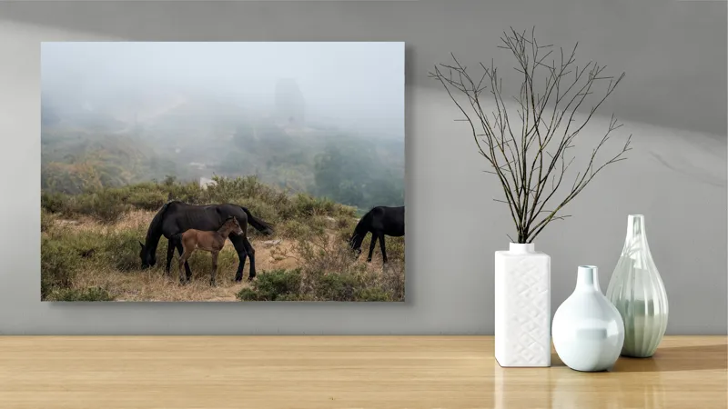 Tablou Canvas, "Mângâierea dimineții în ceață densă", Cai, Pășuni, Ceață, Natură, Mânz, Peisaj, Plante, Dealuri, Sălbăticie, Cer, Verdeață., 70 x 50 cm – poza 3