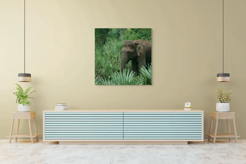 Tablou Canvas, "Elefant printre verdeața densă tropicală", Elefant, Vegetație, Junglă, Verde, Natură, Savană, Trunchi, Timp Liber, 100 x 100 cm – poza 5