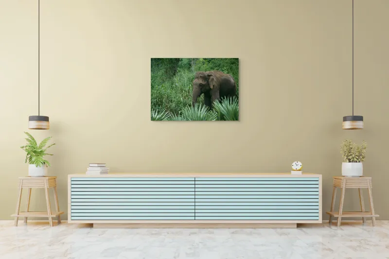 Tablou Canvas, "Elefant printre verdeața densă tropicală", Elefant, Vegetație, Junglă, Verde, Natură, Savană, Trunchi, Timp Liber, 100 x 70 cm – poza 4