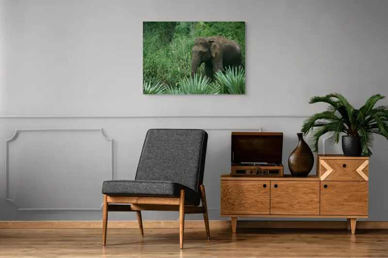 Tablou Canvas, "Elefant printre verdeața densă tropicală", Elefant, Vegetație, Junglă, Verde, Natură, Savană, Trunchi, Timp Liber, 100 x 70 cm – poza 8