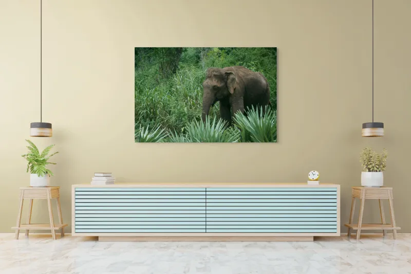 Tablou Canvas, "Elefant printre verdeața densă tropicală", Elefant, Vegetație, Junglă, Verde, Natură, Savană, Trunchi, Timp Liber, 150 x 100 cm – poza 6