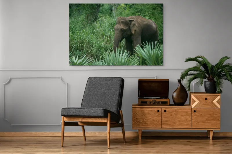 Tablou Canvas, "Elefant printre verdeața densă tropicală", Elefant, Vegetație, Junglă, Verde, Natură, Savană, Trunchi, Timp Liber, 150 x 100 cm – poza 8