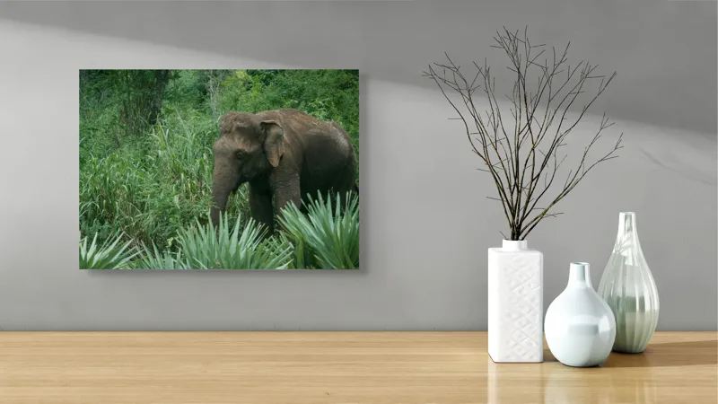 Tablou Canvas, "Elefant printre verdeața densă tropicală", Elefant, Vegetație, Junglă, Verde, Natură, Savană, Trunchi, Timp Liber, 54 x 39 cm – poza 3
