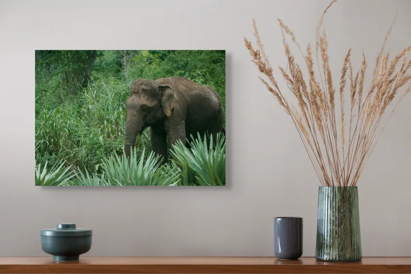 Tablou Canvas, "Elefant printre verdeața densă tropicală", Elefant, Vegetație, Junglă, Verde, Natură, Savană, Trunchi, Timp Liber, 54 x 39 cm – poza 4