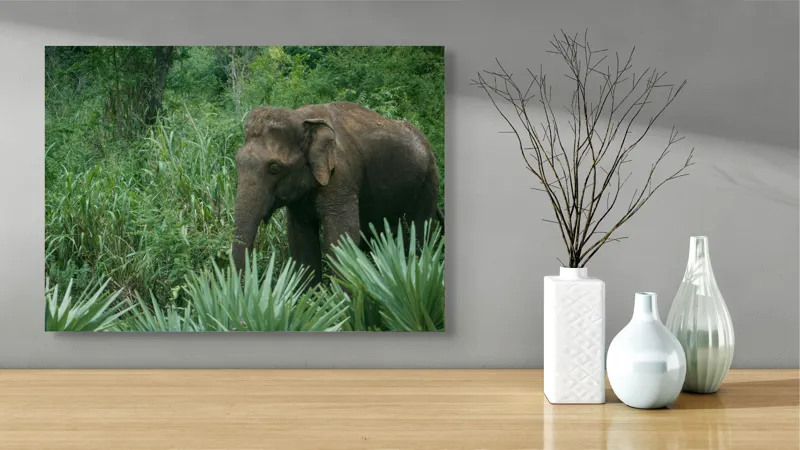 Tablou Canvas, "Elefant printre verdeața densă tropicală", Elefant, Vegetație, Junglă, Verde, Natură, Savană, Trunchi, Timp Liber, 70 x 50 cm – poza 3