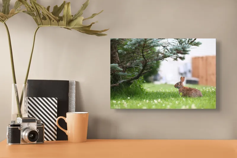Tablou Canvas, "Iepurele sub ramurile verzi alebradului", Iepure, Verdeață, Copac, Curte, Natură, Relaxare, Frumusețe, Calm, Pastoral, Serenitate, 39 x 26 cm – poza 3