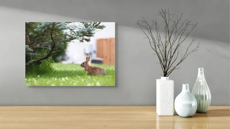 Tablou Canvas, "Iepurele sub ramurile verzi alebradului", Iepure, Verdeață, Copac, Curte, Natură, Relaxare, Frumusețe, Calm, Pastoral, Serenitate, 54 x 39 cm – poza 3