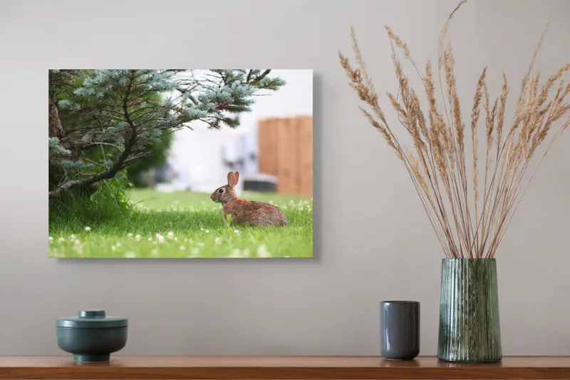 Tablou Canvas, "Iepurele sub ramurile verzi alebradului", Iepure, Verdeață, Copac, Curte, Natură, Relaxare, Frumusețe, Calm, Pastoral, Serenitate, 54 x 39 cm – poza 4