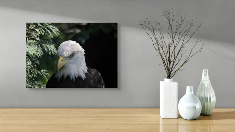 Tablou Canvas, "Destinul măreț al vulturului american", Majestic, Regal, Powerful, Intense, Watchful, Noble, Proud, 54 x 39 cm – poza 3