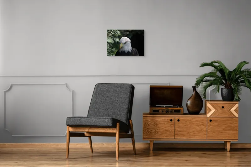 Tablou Canvas, "Destinul măreț al vulturului american", Majestic, Regal, Powerful, Intense, Watchful, Noble, Proud, 54 x 39 cm – poza 7