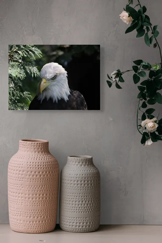 Tablou Canvas, "Destinul măreț al vulturului american", Majestic, Regal, Powerful, Intense, Watchful, Noble, Proud, 54 x 39 cm – poza 8