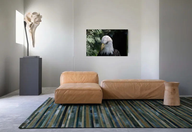 Tablou Canvas, "Destinul măreț al vulturului american", Majestic, Regal, Powerful, Intense, Watchful, Noble, Proud, 90 x 50 cm – poza 8