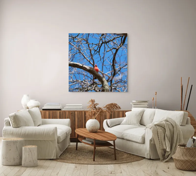 Tablou Canvas, "Cardinalul singuratic în copac uscat", Cardinal, Cer, Crengi, Primăvară, Ramură, Păsări, Natură, Albastru, Contrast, Frumusețe, 100 x 100 cm – poza 3