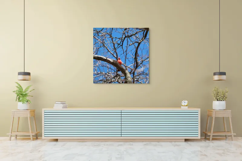 Tablou Canvas, "Cardinalul singuratic în copac uscat", Cardinal, Cer, Crengi, Primăvară, Ramură, Păsări, Natură, Albastru, Contrast, Frumusețe, 100 x 100 cm – poza 5