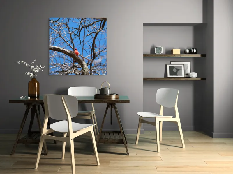 Tablou Canvas, "Cardinalul singuratic în copac uscat", Cardinal, Cer, Crengi, Primăvară, Ramură, Păsări, Natură, Albastru, Contrast, Frumusețe, 100 x 100 cm – poza 6