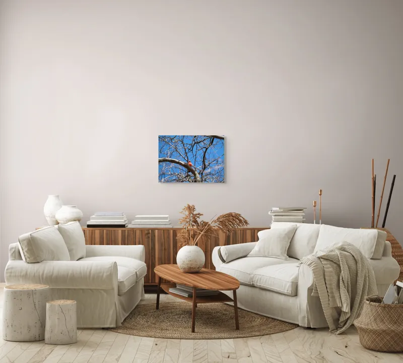 Tablou Canvas, "Cardinalul singuratic în copac uscat", Cardinal, Cer, Crengi, Primăvară, Ramură, Păsări, Natură, Albastru, Contrast, Frumusețe, 54 x 39 cm – poza 5