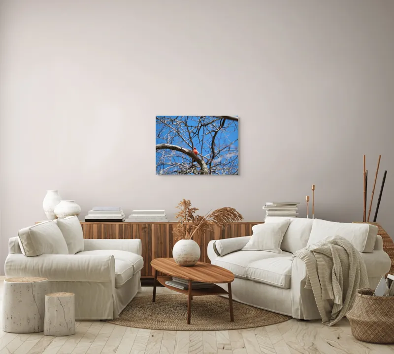 Tablou Canvas, "Cardinalul singuratic în copac uscat", Cardinal, Cer, Crengi, Primăvară, Ramură, Păsări, Natură, Albastru, Contrast, Frumusețe, 70 x 50 cm – poza 6