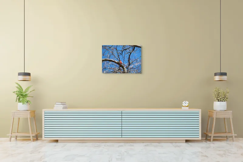 Tablou Canvas, "Cardinalul singuratic în copac uscat", Cardinal, Cer, Crengi, Primăvară, Ramură, Păsări, Natură, Albastru, Contrast, Frumusețe, 70 x 50 cm – poza 7