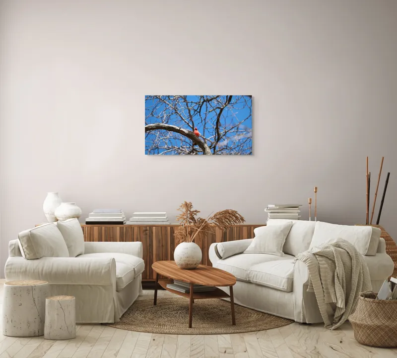 Tablou Canvas, "Cardinalul singuratic în copac uscat", Cardinal, Cer, Crengi, Primăvară, Ramură, Păsări, Natură, Albastru, Contrast, Frumusețe, 90 x 50 cm – poza 4
