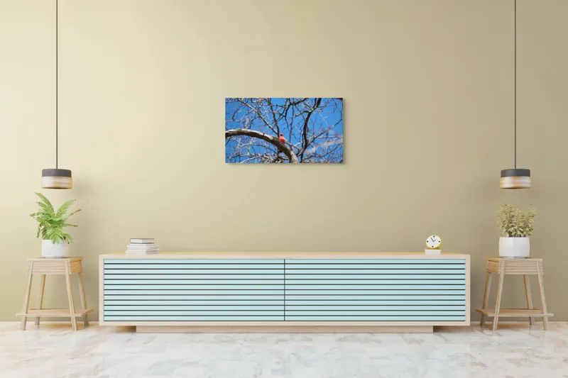 Tablou Canvas, "Cardinalul singuratic în copac uscat", Cardinal, Cer, Crengi, Primăvară, Ramură, Păsări, Natură, Albastru, Contrast, Frumusețe, 90 x 50 cm – poza 5