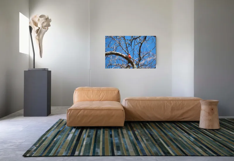 Tablou Canvas, "Cardinalul singuratic în copac uscat", Cardinal, Cer, Crengi, Primăvară, Ramură, Păsări, Natură, Albastru, Contrast, Frumusețe, 90 x 50 cm – poza 8