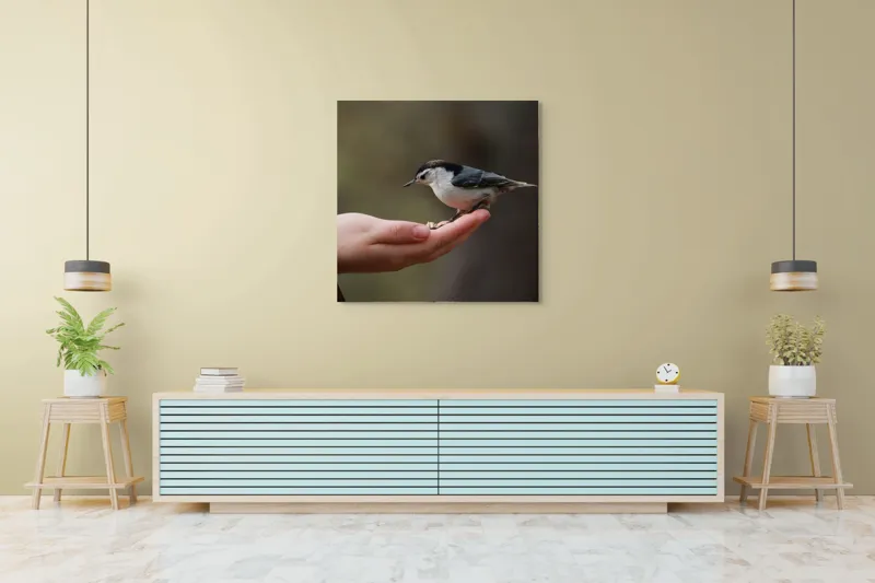 Tablou Canvas, "Ospățul prieteniei în pădurile liniștite", Mână, Păsărică, Natură, Blândețe, Interacțiune, Curaj, Delicatețe, Moment, Conexiune, Încredere, 100 x 100 cm – poza 5