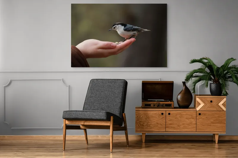 Tablou Canvas, "Ospățul prieteniei în pădurile liniștite", Mână, Păsărică, Natură, Blândețe, Interacțiune, Curaj, Delicatețe, Moment, Conexiune, Încredere, 150 x 100 cm – poza 8