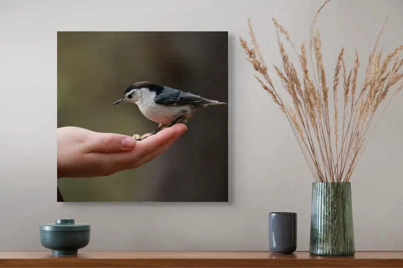 Tablou Canvas, "Ospățul prieteniei în pădurile liniștite", Mână, Păsărică, Natură, Blândețe, Interacțiune, Curaj, Delicatețe, Moment, Conexiune, Încredere, 50 x 50 cm – poza 4