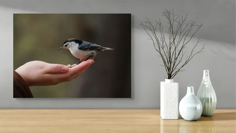 Tablou Canvas, "Ospățul prieteniei în pădurile liniștite", Mână, Păsărică, Natură, Blândețe, Interacțiune, Curaj, Delicatețe, Moment, Conexiune, Încredere, 70 x 50 cm – poza 3