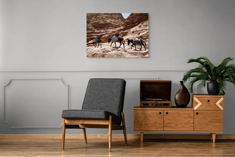 Tablou Canvas pe temă de Deșert și Alpinism, Caravana Măgarilor în Canion, 100 x 70 cm – poza 8